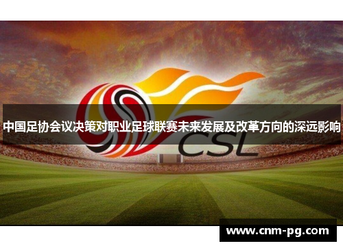 中国足协会议决策对职业足球联赛未来发展及改革方向的深远影响