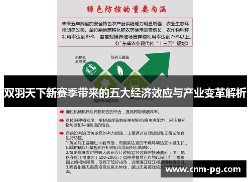 双羽天下新赛季带来的五大经济效应与产业变革解析