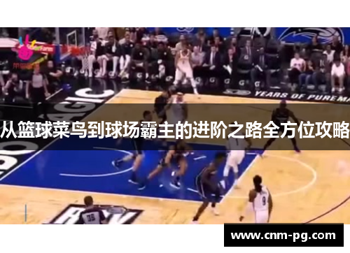 从篮球菜鸟到球场霸主的进阶之路全方位攻略