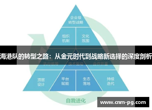 海港队的转型之路：从金元时代到战略新选择的深度剖析