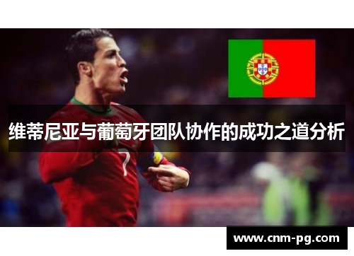 维蒂尼亚与葡萄牙团队协作的成功之道分析