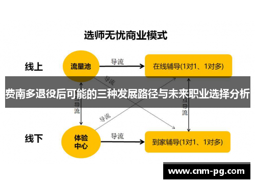 费南多退役后可能的三种发展路径与未来职业选择分析