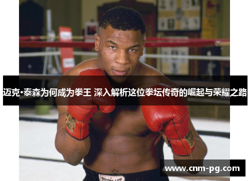迈克·泰森为何成为拳王 深入解析这位拳坛传奇的崛起与荣耀之路