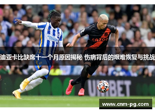 迪亚卡比缺席十一个月原因揭秘 伤病背后的艰难恢复与挑战