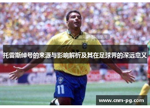 托雷斯绰号的来源与影响解析及其在足球界的深远意义