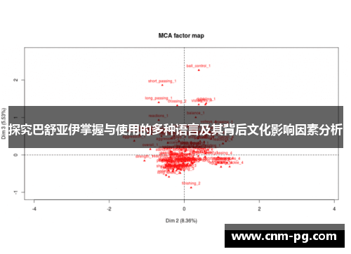 探究巴舒亚伊掌握与使用的多种语言及其背后文化影响因素分析