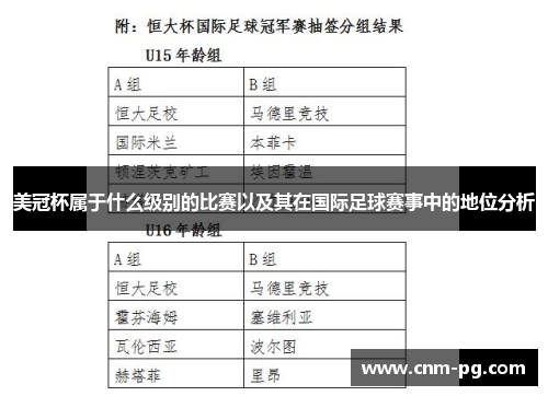 美冠杯属于什么级别的比赛以及其在国际足球赛事中的地位分析
