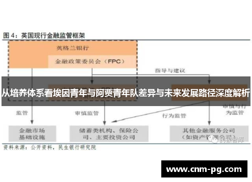 从培养体系看埃因青年与阿贾青年队差异与未来发展路径深度解析
