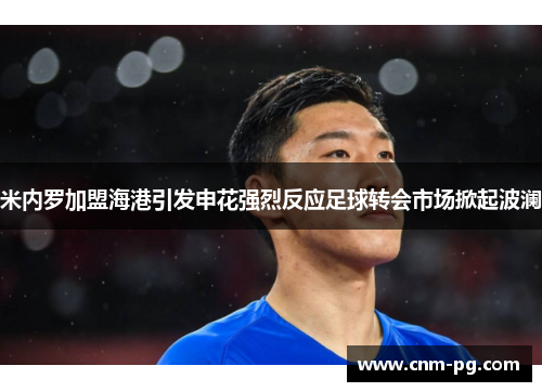 米内罗加盟海港引发申花强烈反应足球转会市场掀起波澜