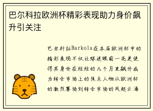 巴尔科拉欧洲杯精彩表现助力身价飙升引关注
